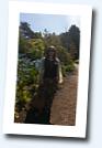 Alfiya's profile picture