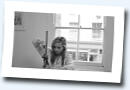 Emilie's profile picture